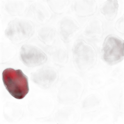 Image of Rose Essential™ note
